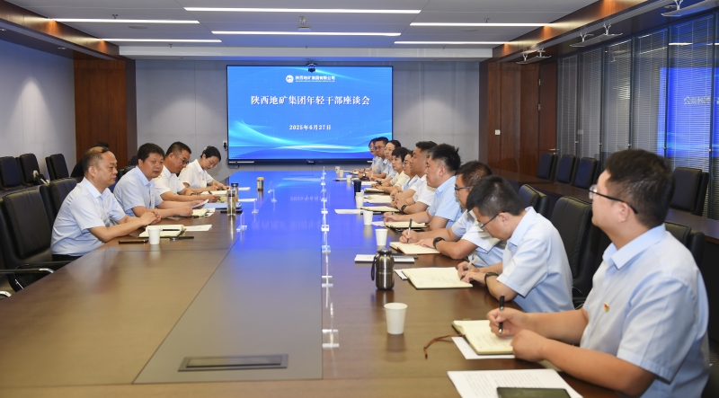 陜西地礦集團(tuán)召開年輕干部座談會(huì)